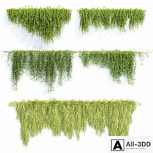 Creeper plants for wall collection vol 144