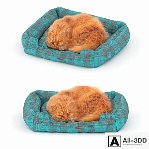 Ginger cat on the bed