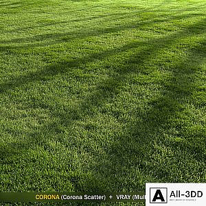 Forest Grass 2