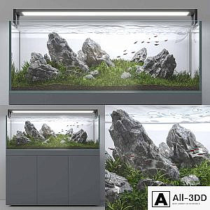 Aquascape aquarium Iwagumi