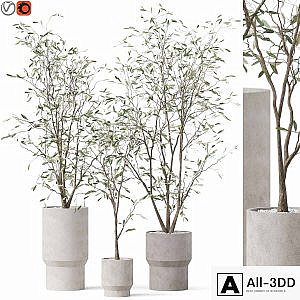 Plants collection 900