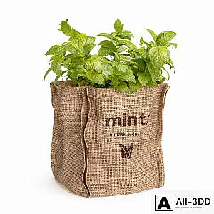 Mint in a burlap pot