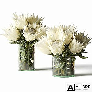 Flower Set white proteas