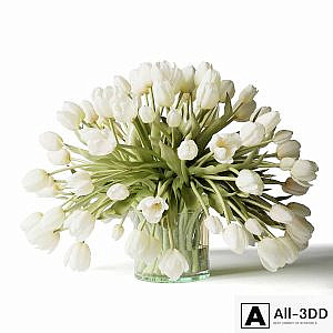 White tulips in a vase, a bouquet of flowers