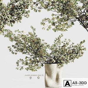 plants bouquet vase 35