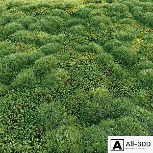 Blooming moss 2
