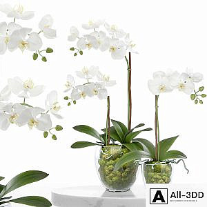 treez plants set 28