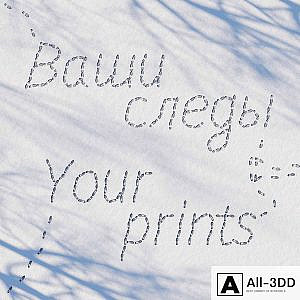 Prints in the snow