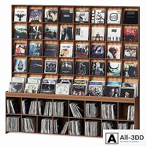 Rack with vinyl records for home or store