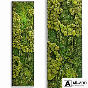 panel jungle