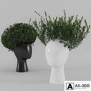 Wig vase with boxwood (part 1)