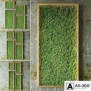 Moss walls