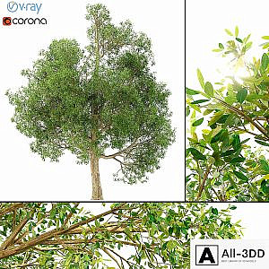 3D model of a tree No. 1