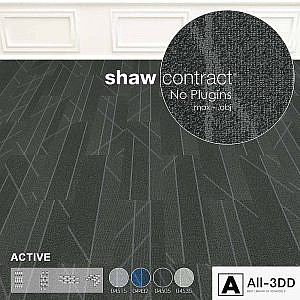 Shaw Carpet Active Wall to Wall Floor No 5