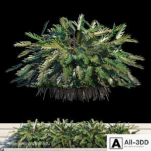 Philodendron Xanadu exterior kit