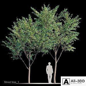 Street tree v1