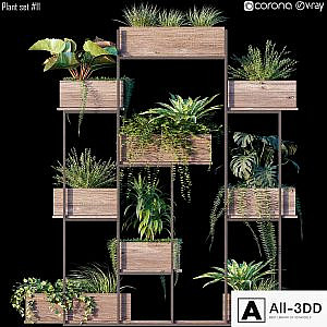 Plant set # 11