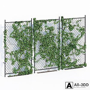 Ivy wall two