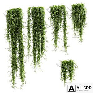 Hanging plants for shelves. 5 models. set 1