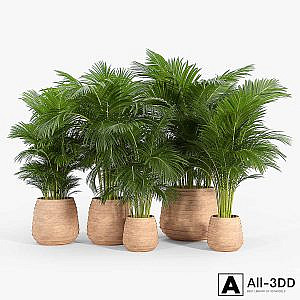 Tula Planter Collection