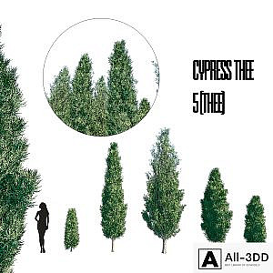 cypress thee set 1