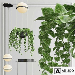 Vibia Palma Pendant Light