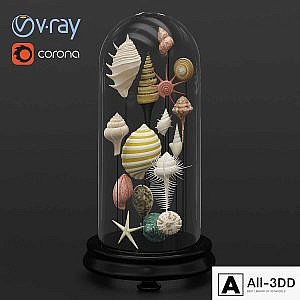 Seashell decorative