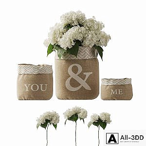 white hydrangea changeable vase