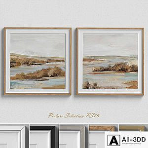 Picture Selection PS16