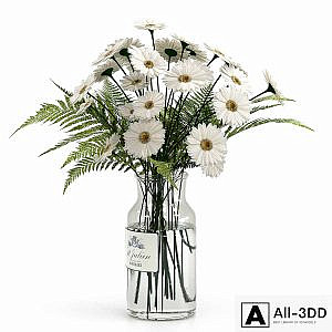 Bouquet with camomiles.