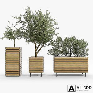 jasper rectangle planter Olea europaea