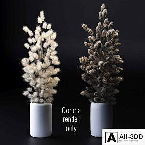 Bouquet of dried flowers. 2 models