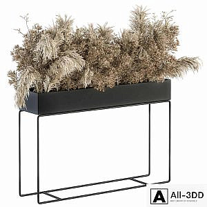 indoor Plant Set 117 - Dried Plant box