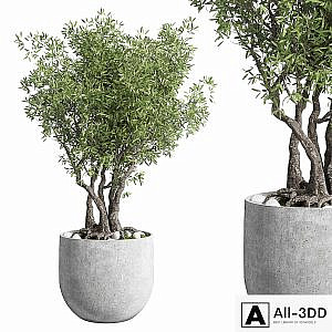 Outdoor plant 28 concrete vase