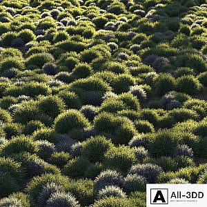 Round grass
