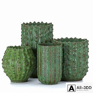 Decorative vases Cactus