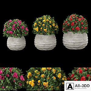 collection flowering bush vol 16