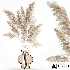 A beautiful lush bouquet of dried flowers in a vase with dry branches of pampas, Cortaderia, white reeds. 150.