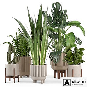Indoor Plants in Standing Legs Small Bowl Concrete Pot - Set 245