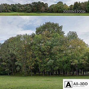Autumn panorama with trees v2. 30k