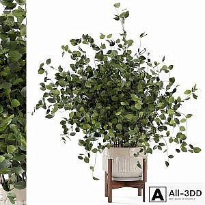 Indoor Plants in rusty Concrete Pot - Set 280
