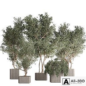 indoor plant set 30