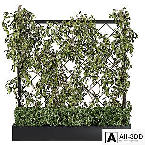 Vertical Garden - Planter with trellis