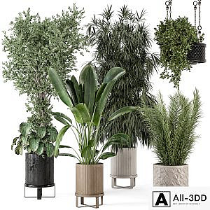 Indoor Plants in Ferm Living Bau Pot Large - Set 474