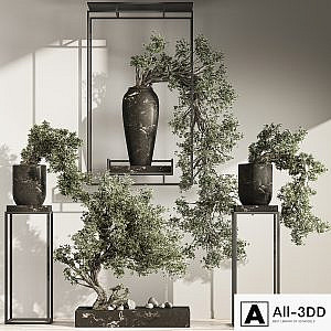 Bonsai And Indoor Plant Set 43
