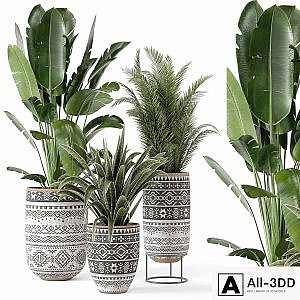 Indoor Plants in rusty Concrete Pot - Set 628