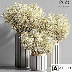Indoor_Plant_Set_83