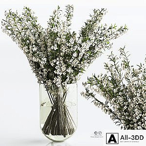 bouquets on a budget