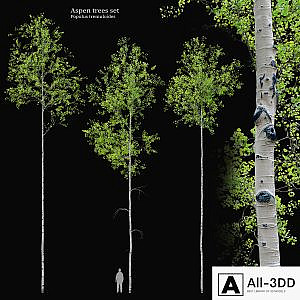 aspen tree set