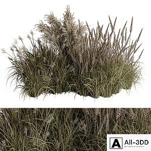 Pampas Plant Bush Set 96